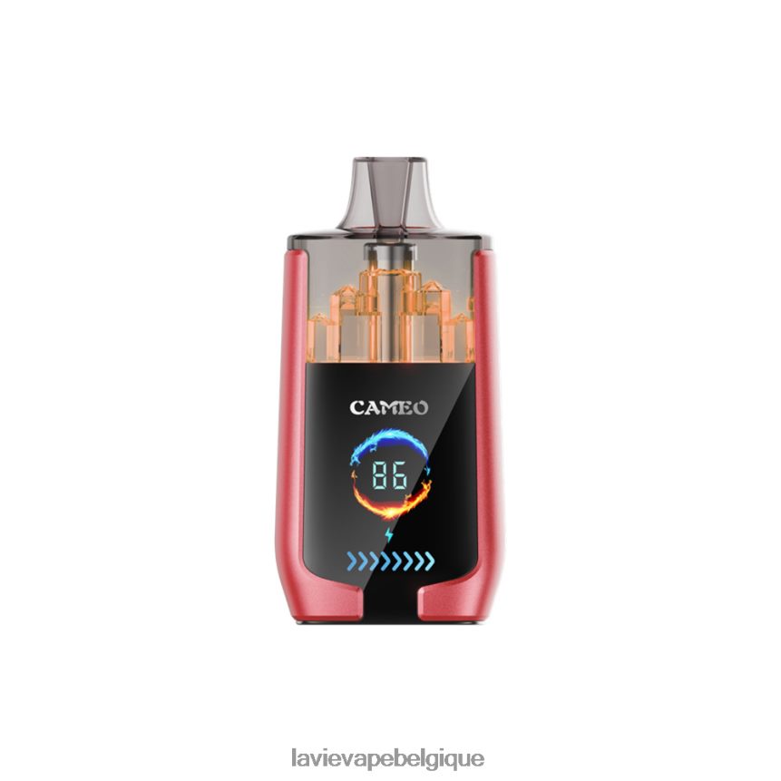 46406814 Lavie Vape Review | glace à la pastèque LAVIE CAMEO 30000 bouffées